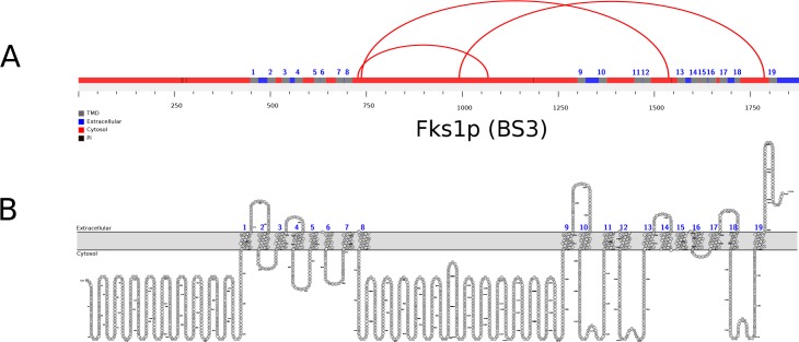 Fig 5