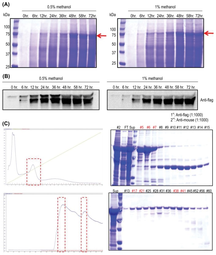 Fig. 3