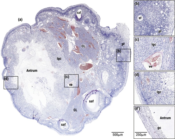 Figure 4.