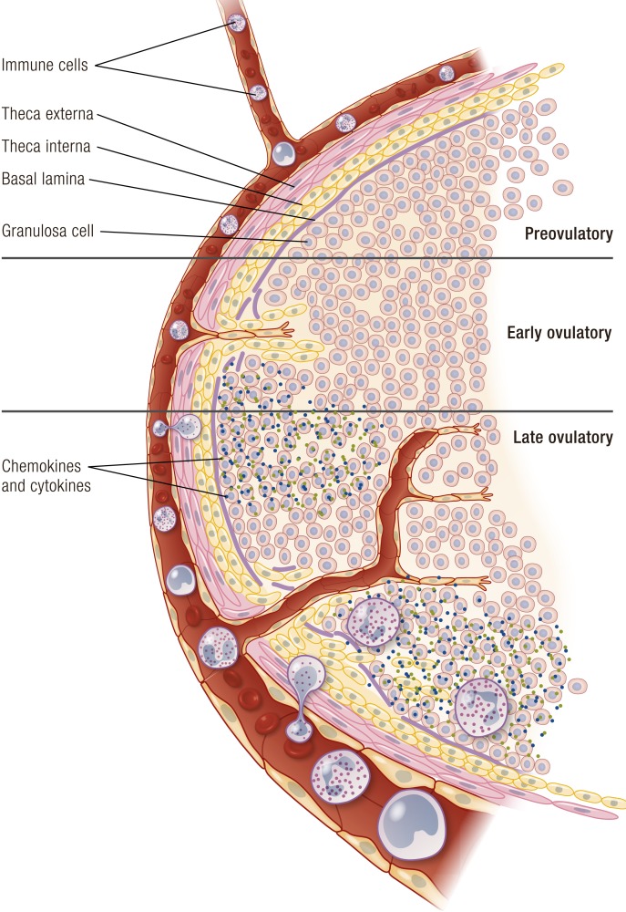 Figure 9.