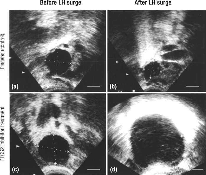 Figure 13.