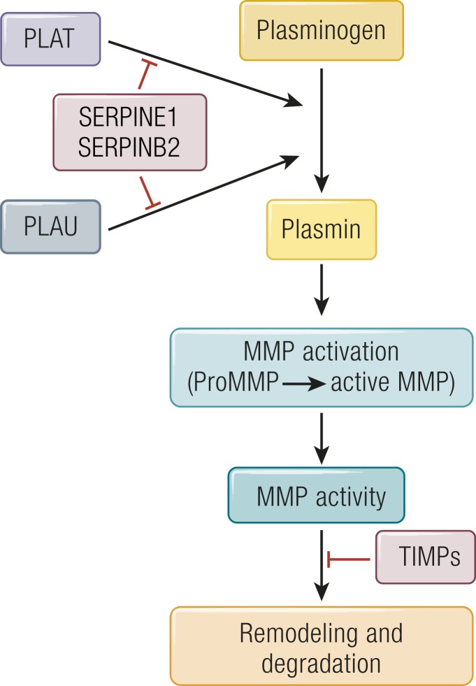 Figure 12.