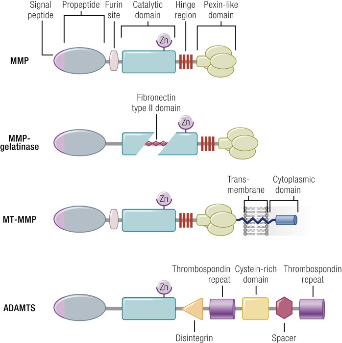 Figure 11.