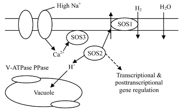 Fig. 2