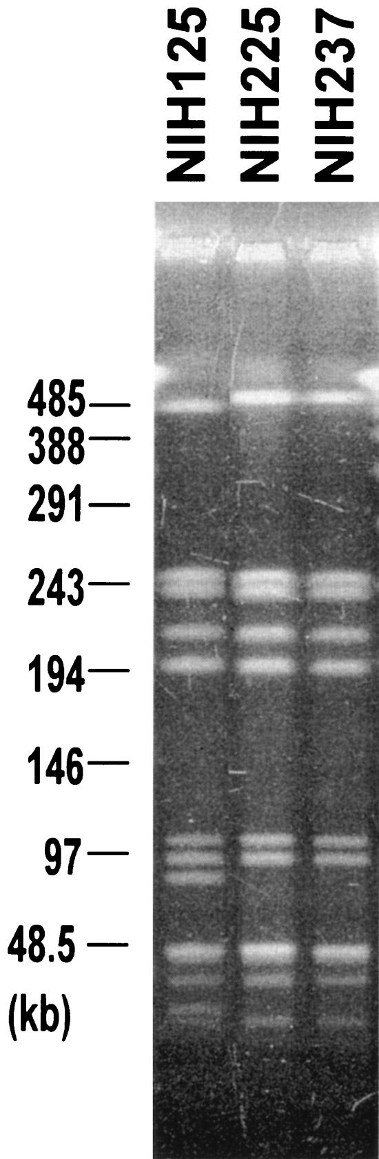 FIG. 1.