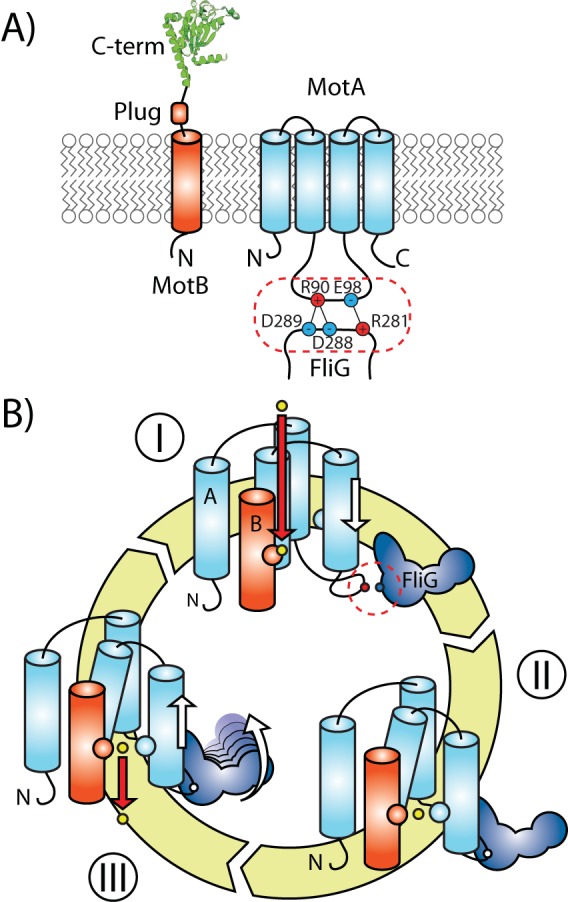 FIG 2