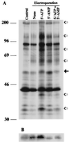 FIG. 6