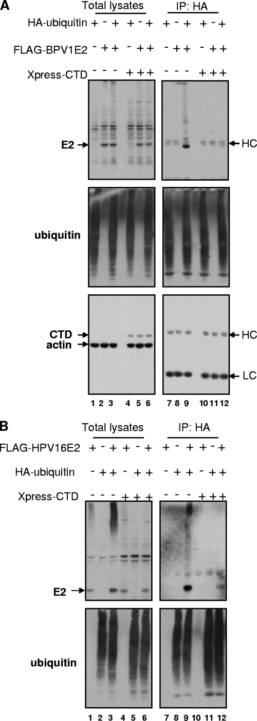 FIG. 5.