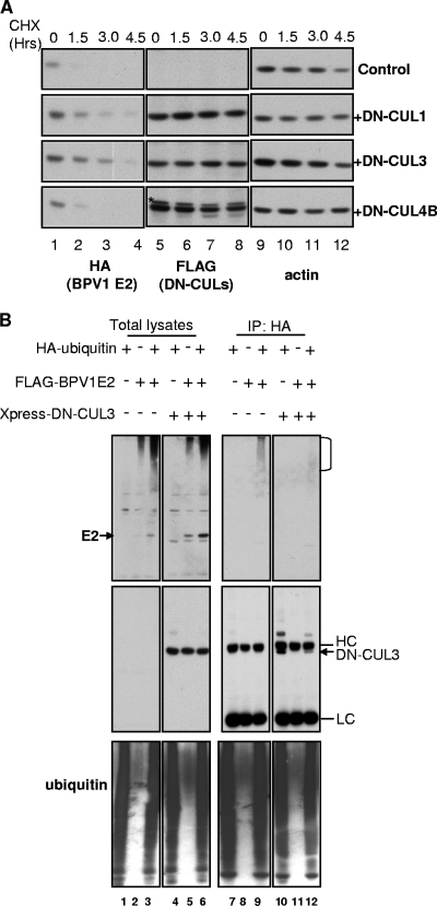 FIG. 7.