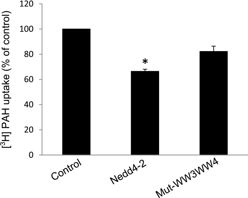 Fig. 9.