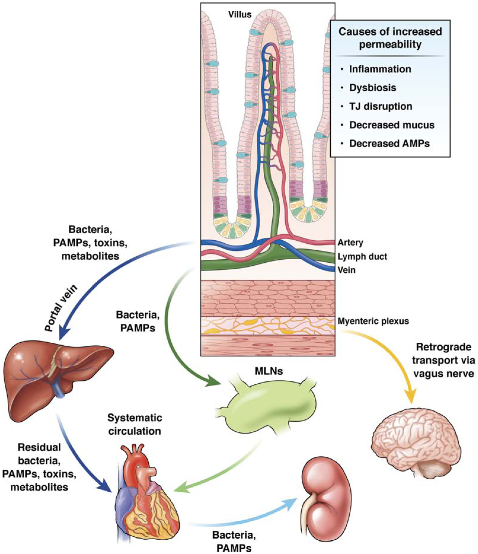 Figure 3.