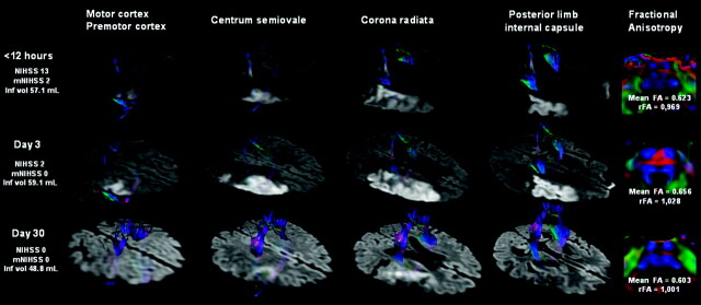 Fig 1.