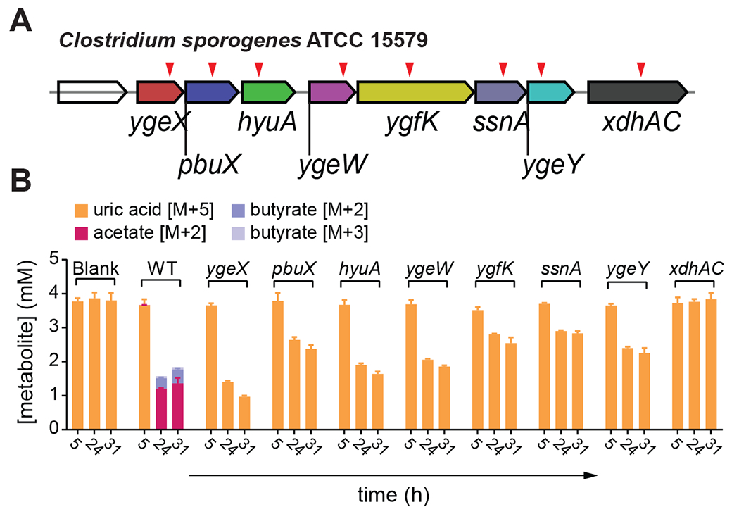 Figure 4.