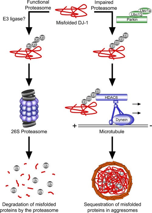 Figure 10.