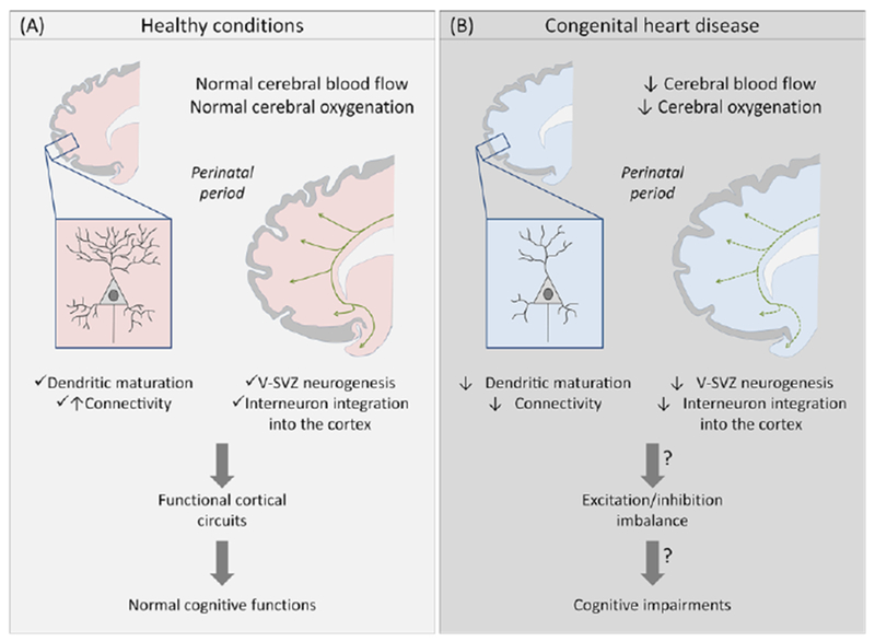 Figure 1, Key Figure -