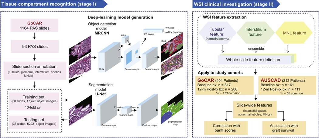 Figure 1 |