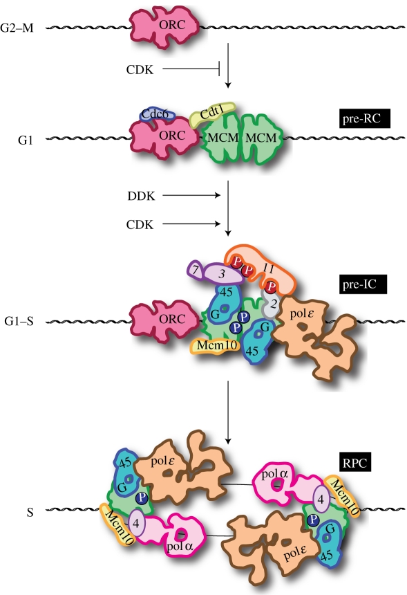 Figure 1.