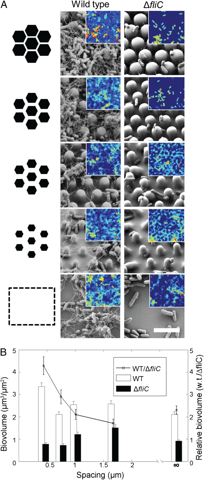 Fig. 4.