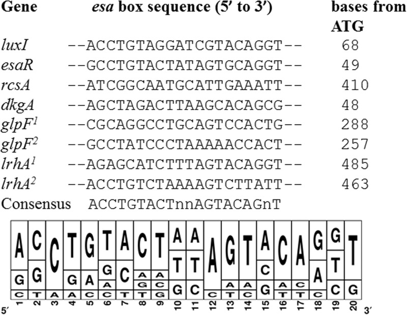 Fig 5