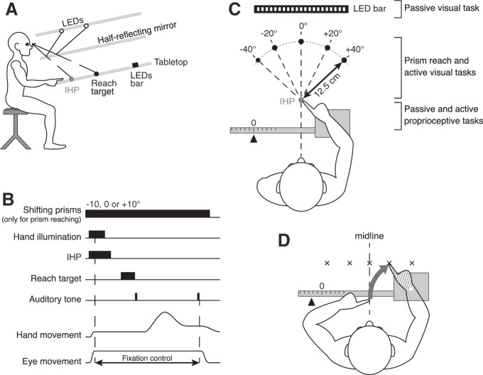 Fig. 1.