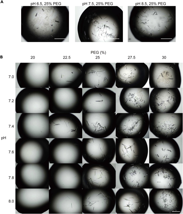 Figure 12