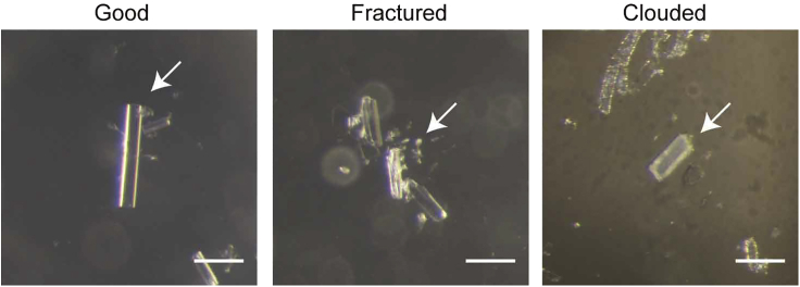 Figure 13