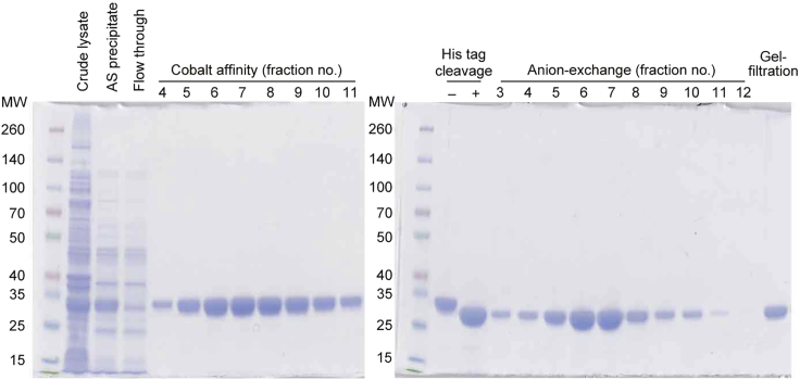 Figure 5