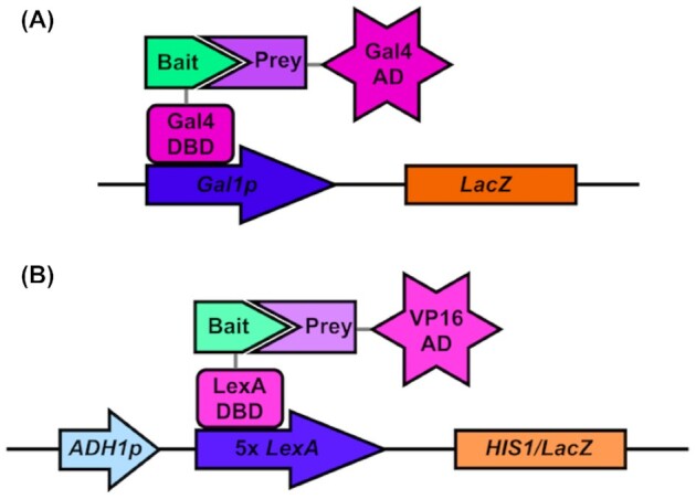 Figure 4.