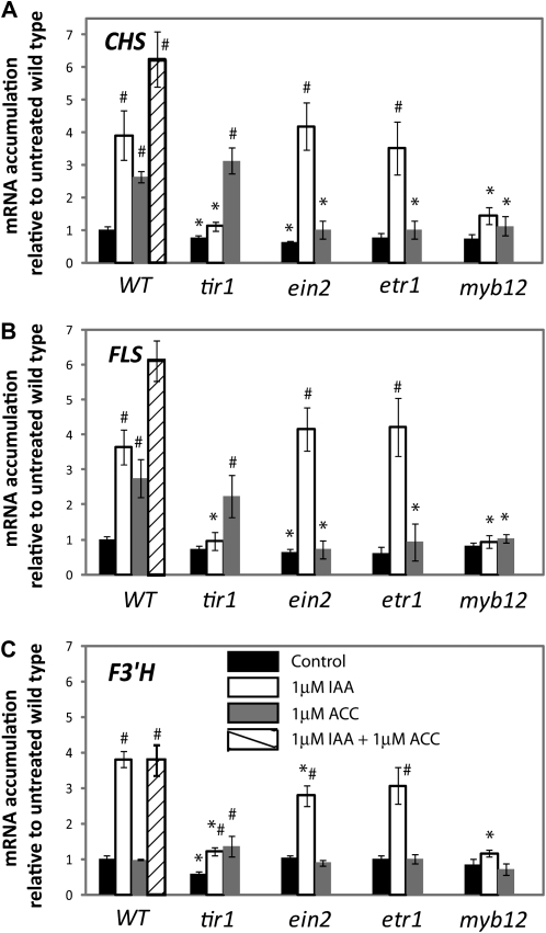 Figure 2.