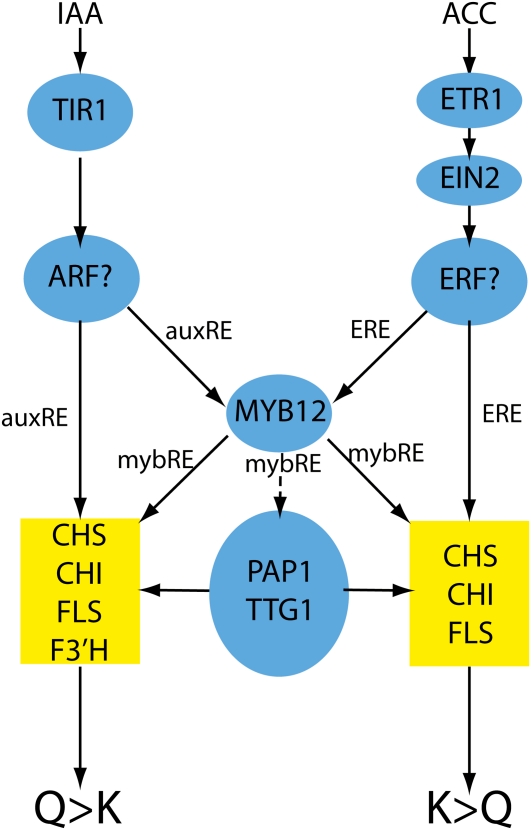 Figure 9.