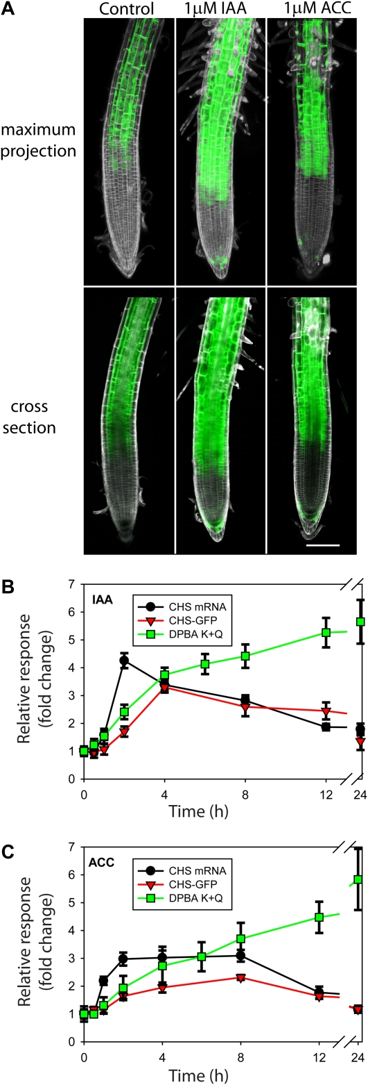 Figure 6.