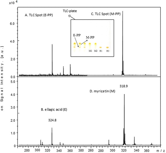 Fig. 8