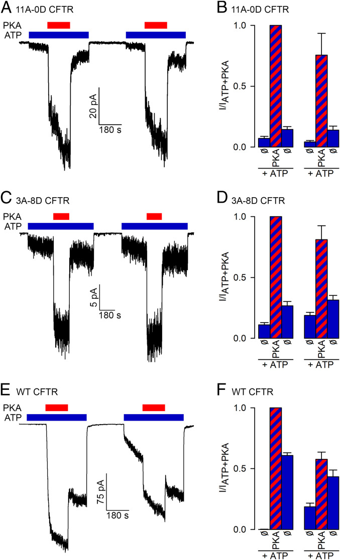 Fig. 4.