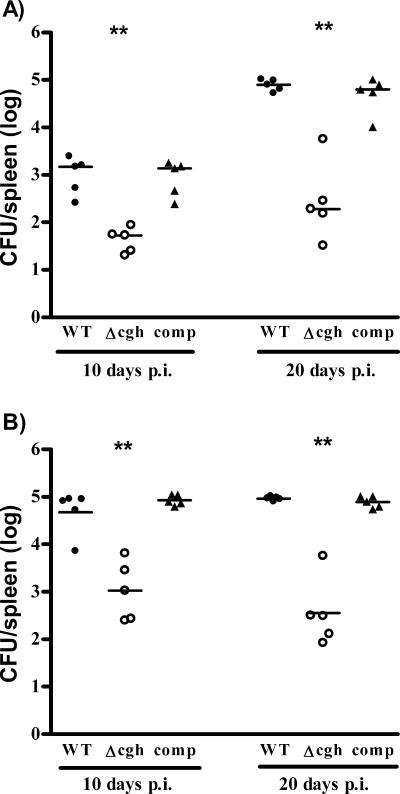 FIG. 3.