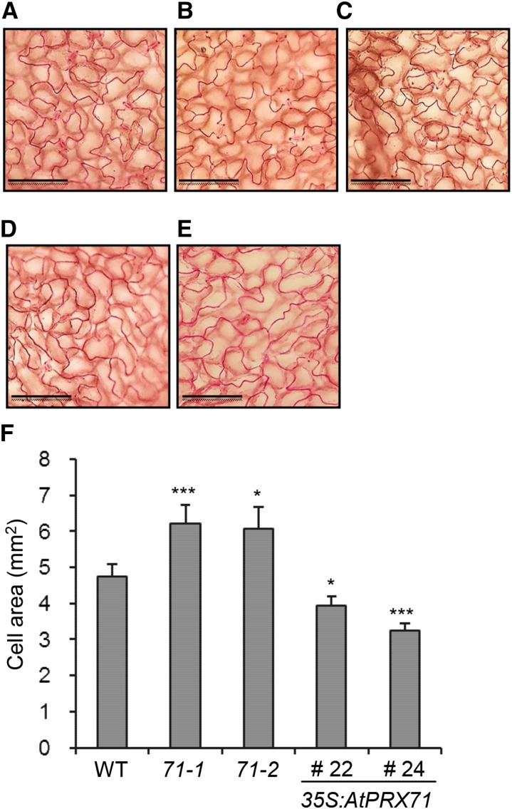 Figure 5.