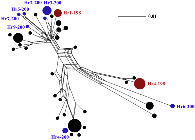 Fig. 2