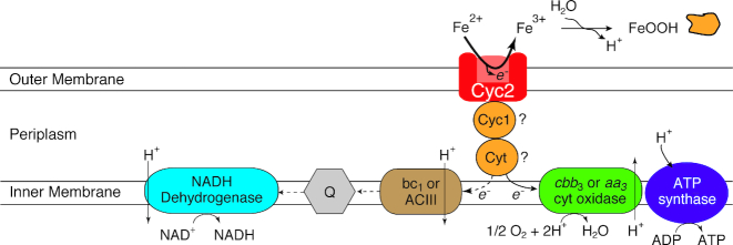 Figure 8.