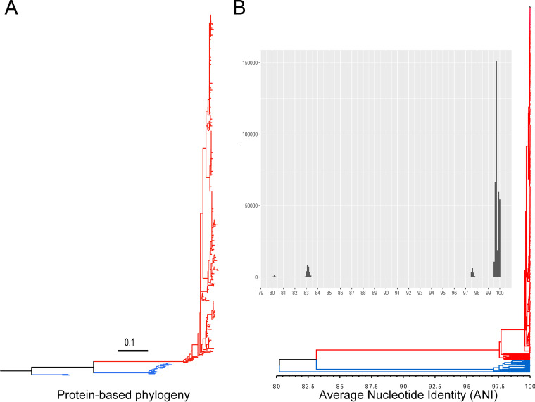 FIG 1