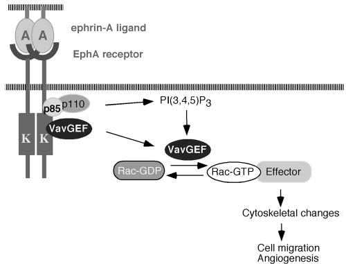 FIG. 8.