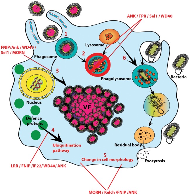 Figure 3.