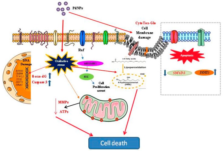 Figure 13