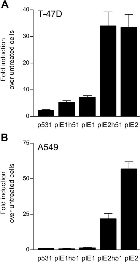 Fig 2.