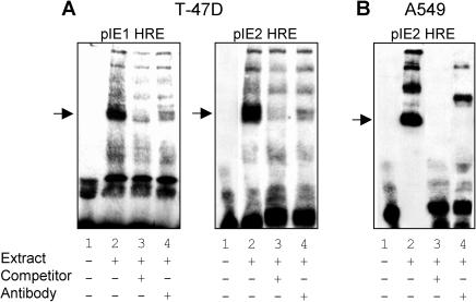 Fig 6.