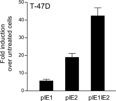 Fig 3.