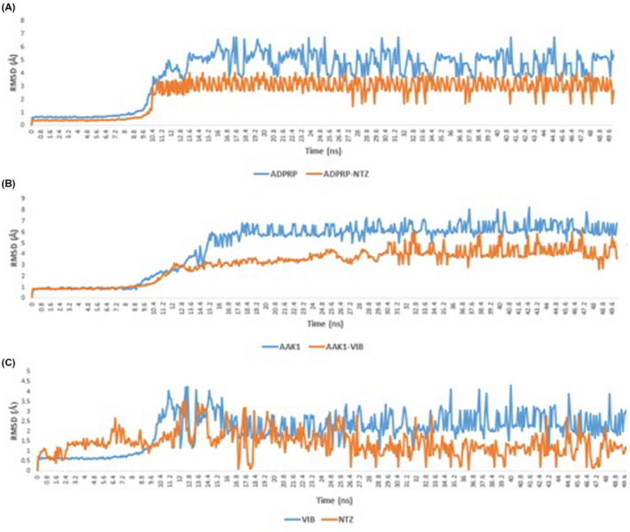 FIGURE 6