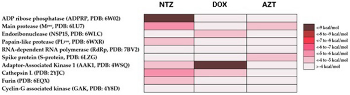 FIGURE 2