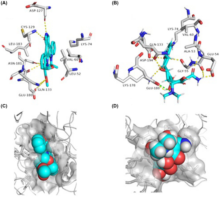 FIGURE 4