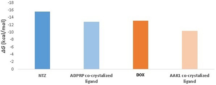 FIGURE 5