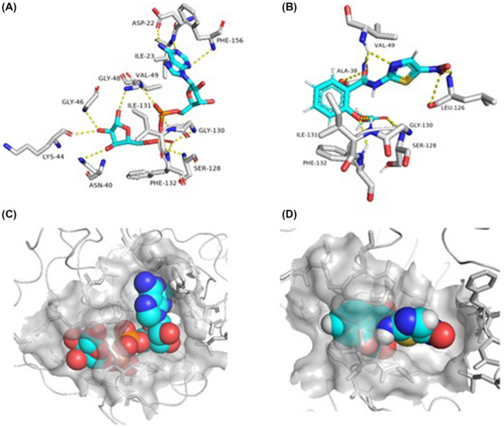 FIGURE 3