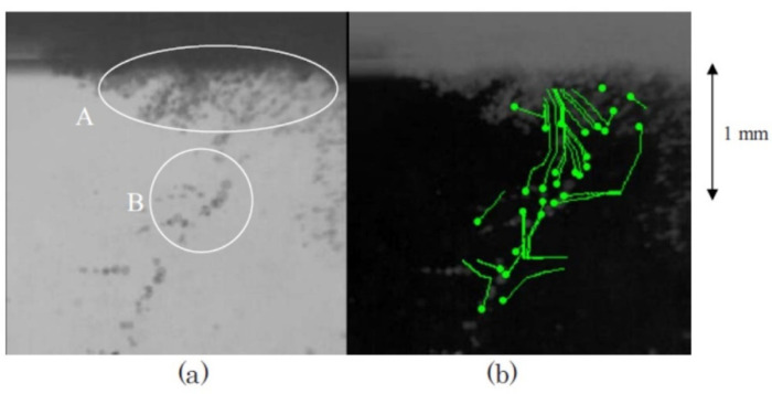 Figure 18